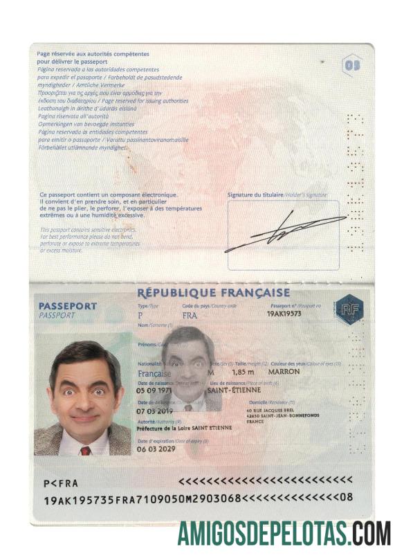 Passaporte francês 2019 presente baixar para verificação